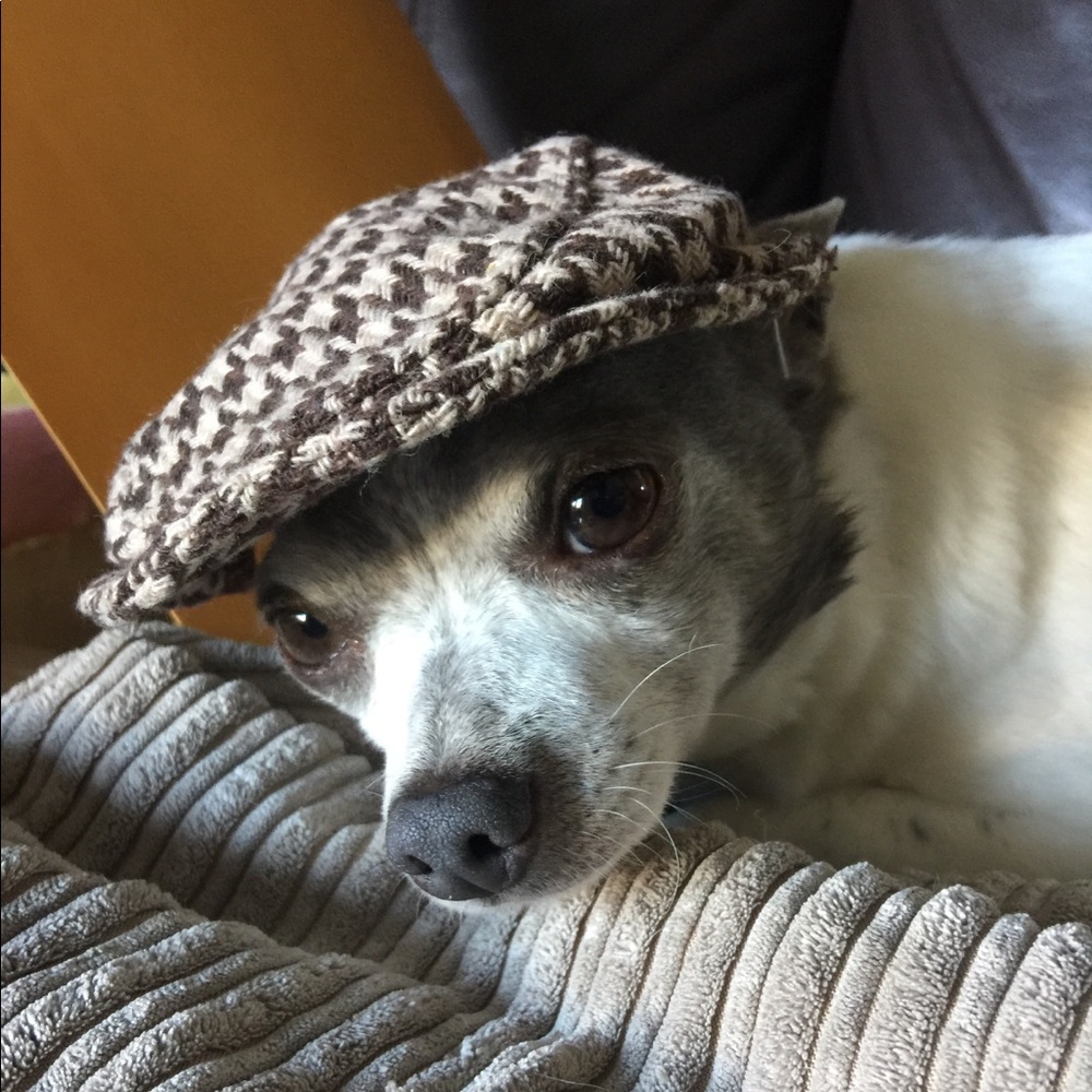 Meet your Posher, Thea